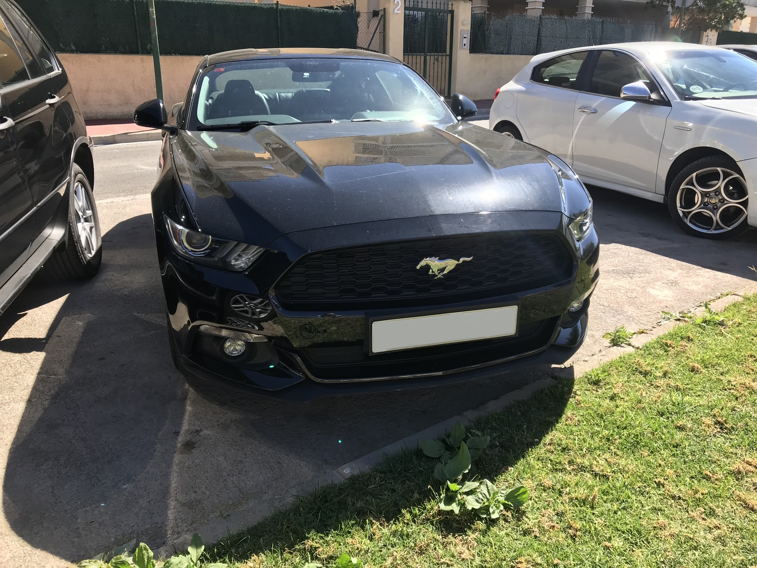 Ford Mustang GT front view